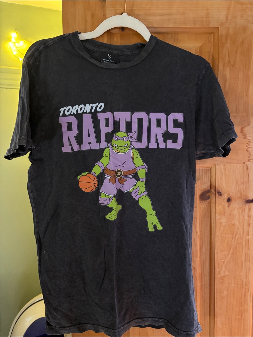 Toronto Raptors Graphic Tee - Black with Purple & Green